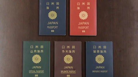 “狼群出击！NBA战场森林狼客场激战16胜11，来势汹汹势不可挡！”